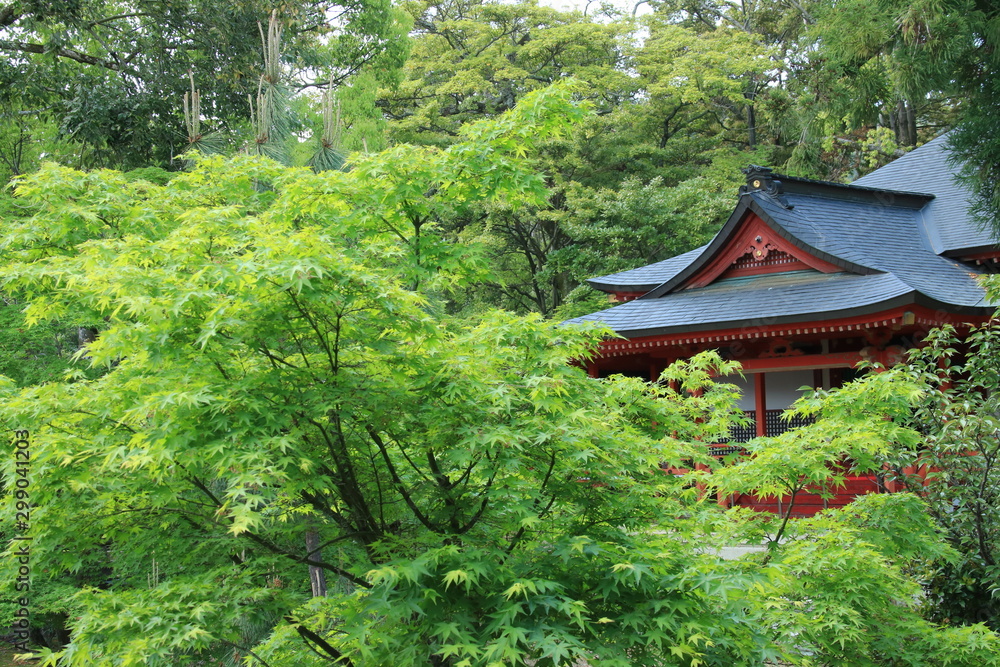 京都 大覚寺(霊明殿) 京都 大覚寺(霊明殿)