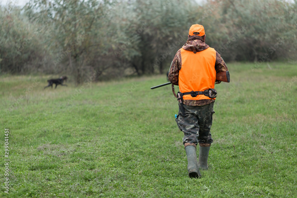 Hunting period, autumn season open. A hunter with a gun in his hands in hunting clothes in the autumn forest in search of a trophy. A man stands with weapons and hunting dogs tracking down the game. Hunting period, autumn season open. A hunter with a gun in his hands in hunting clothes in the autumn forest in search of a trophy. A man stands with weapons and hunting dogs tracking down the game.