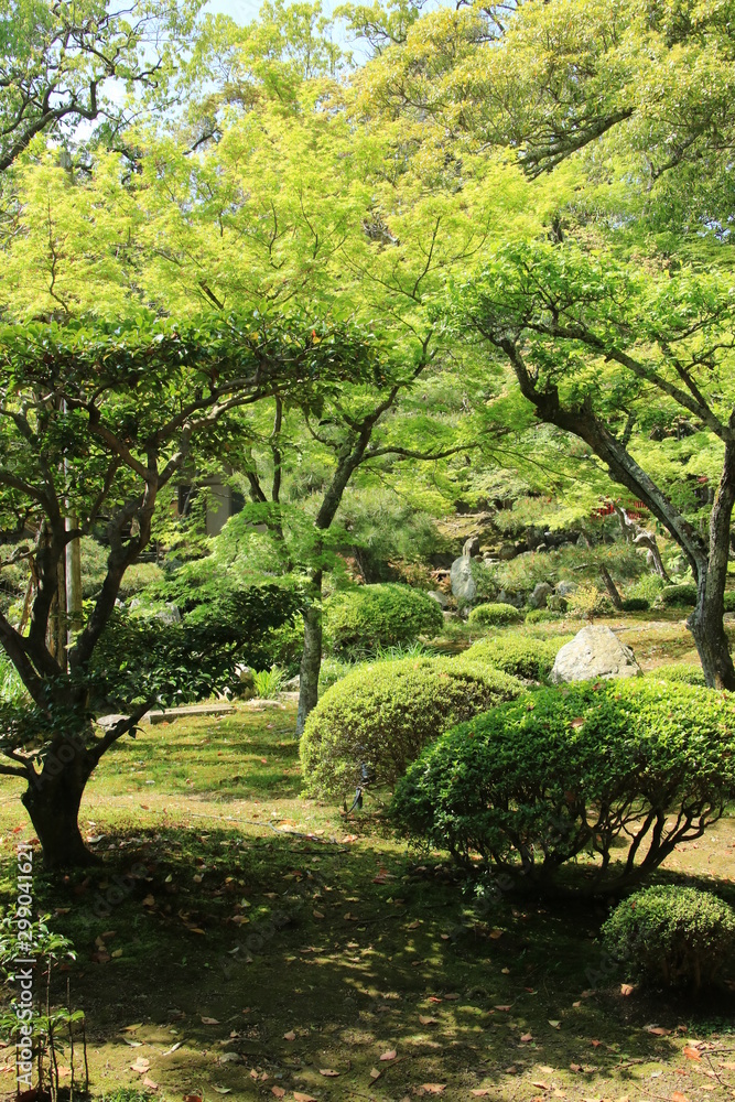 Fototapeta premium 京都 大覚寺