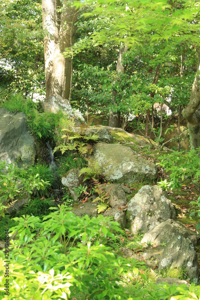 京都　大覚寺