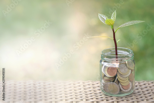 Coins in glass jar with little plant growing on money