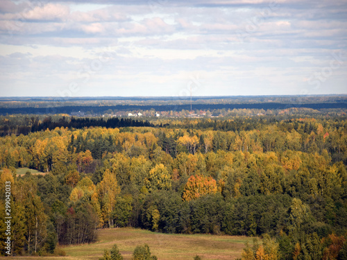 beautiful autumn landscape with colorful trees in the distance  top view