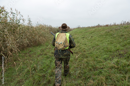 Hunting period, autumn season open. A hunter with a gun in his hands in hunting clothes in the autumn forest in search of a trophy. A man stands with weapons and hunting dogs tracking down the game. 