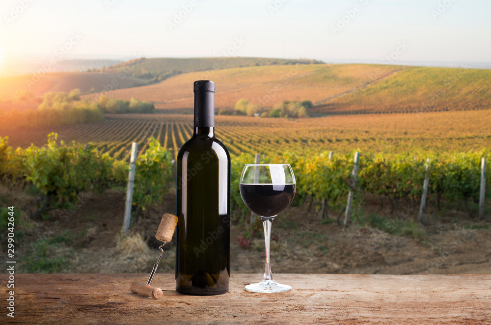 Beautiful landscape of Vineyards in Tuscany. Chianti region in summer season. Italy.