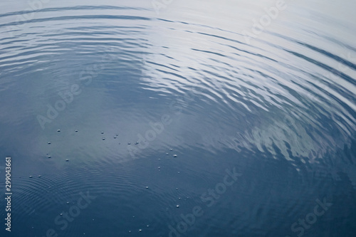 circular waves on the water