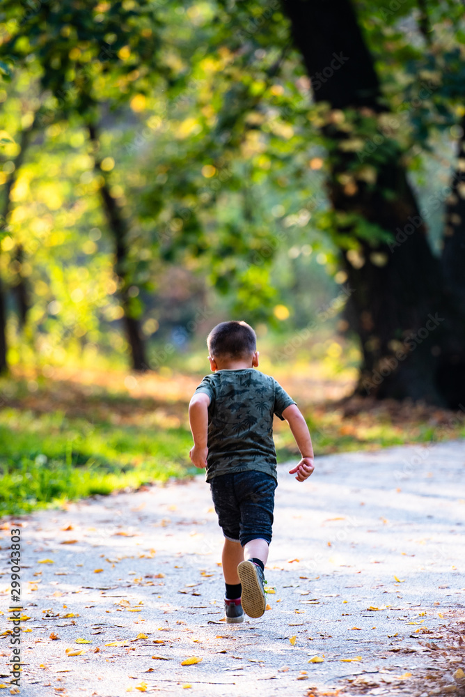 Fototapeta premium little boy walking in autumn park