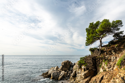 Fototapeta Naklejka Na Ścianę i Meble -  Mediterranean sea rocks over sea landscape