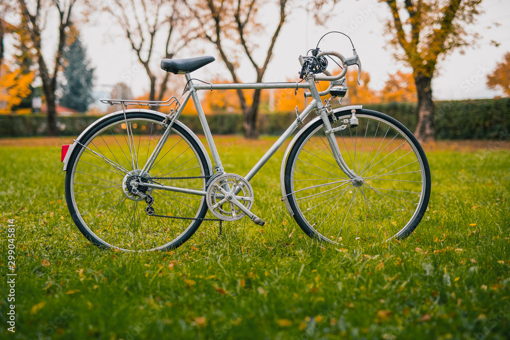 Vintage city bike in silver color