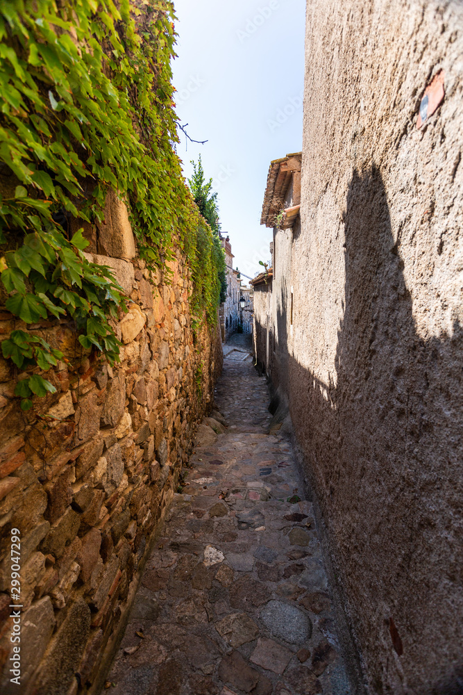 Fototapeta premium old street in spanish town