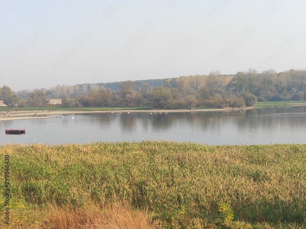 Nature wildlife habitat river Danube Canal near Kovin Banat Serbia