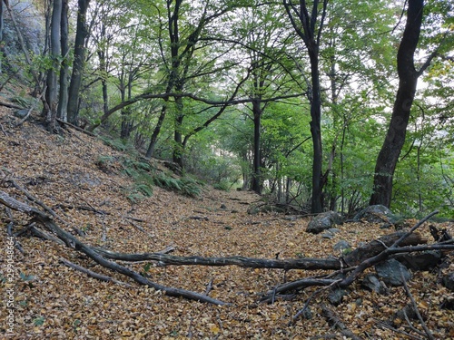 Mountain Rudnik Serbia Ostrovica peak forest scenery in autumn