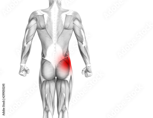 Conceptual hip human anatomy with red hot spot inflammation articular joint pain for leg health care therapy or sport muscle concepts. 3D illustration man arthritis or bone sore osteoporosis disease