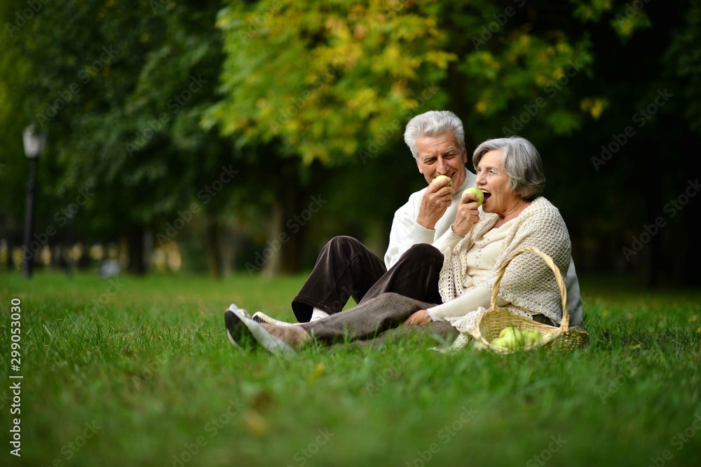 Portrait of elderly couple having a picnic in the summer