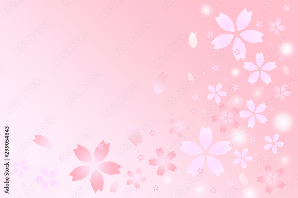ピンクの桜イメージ pink cherry blossom image