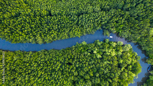 Aerial top view of Boat on the river in Mangrove Forest Conservation in thailand photo