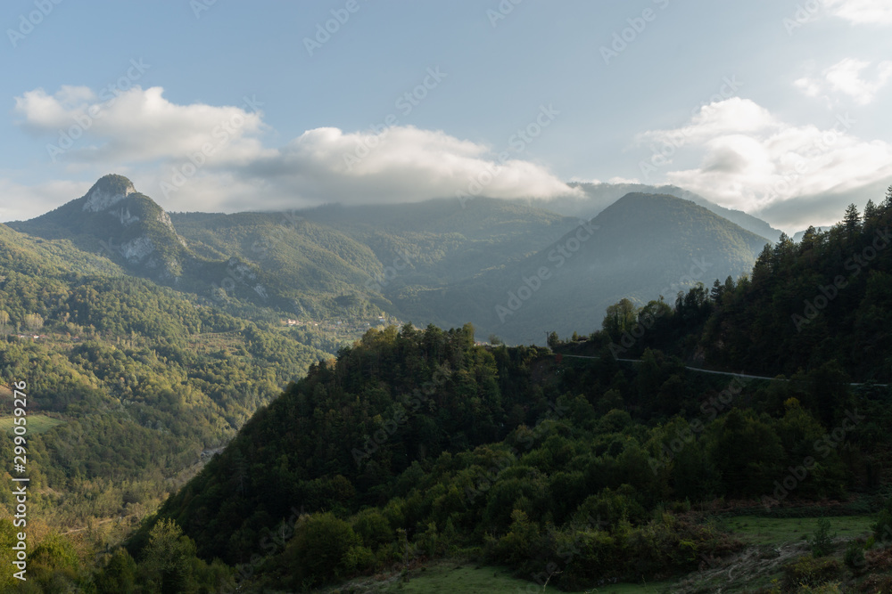 Fototapeta premium fog in the Küre mountains of north central Turkey