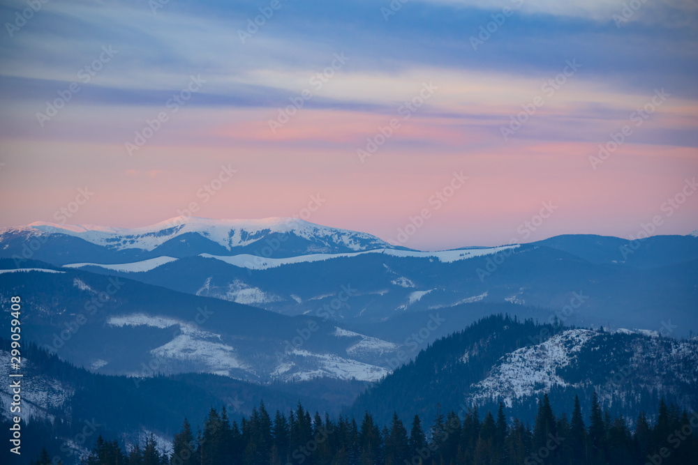 Beautiful Sunset in the Winter Mountains. Landscape with Snow Covered Fir Trees on the Mountain Hills in Fog.