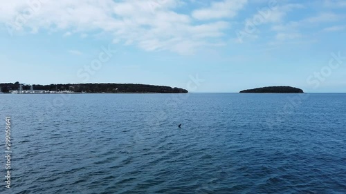 A magnificent view of a vast blue sea under a cloudy blue sky with greenery on the sides in Polidor, Croatia. Panning left. 4k.