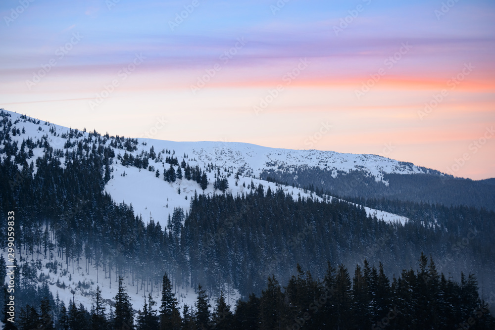 Beautiful Sunset in the Winter Mountains. Landscape with Snow Covered Fir Trees on the Mountain Hills in Fog.