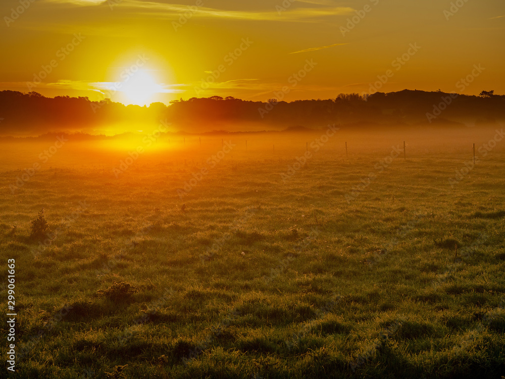 Naklejka premium Golden sun rise in a field, Fog over grass makes sun haze. Calm and surreal atmosphere. Selective focus.