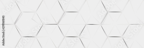 Wide White High-key Hexagon Background (Website Head) (3D Illustration)