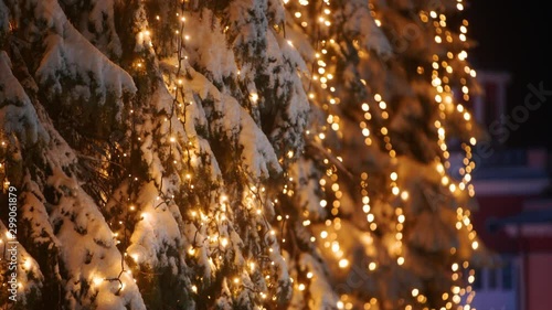 Garland lamp lights on Christmas trees. Festive illumination on the fir-trees at the streets on New Year's Eve. Winter night. Snowy spruce branches. Snowfall. Snow falling down. Camera tilt up.