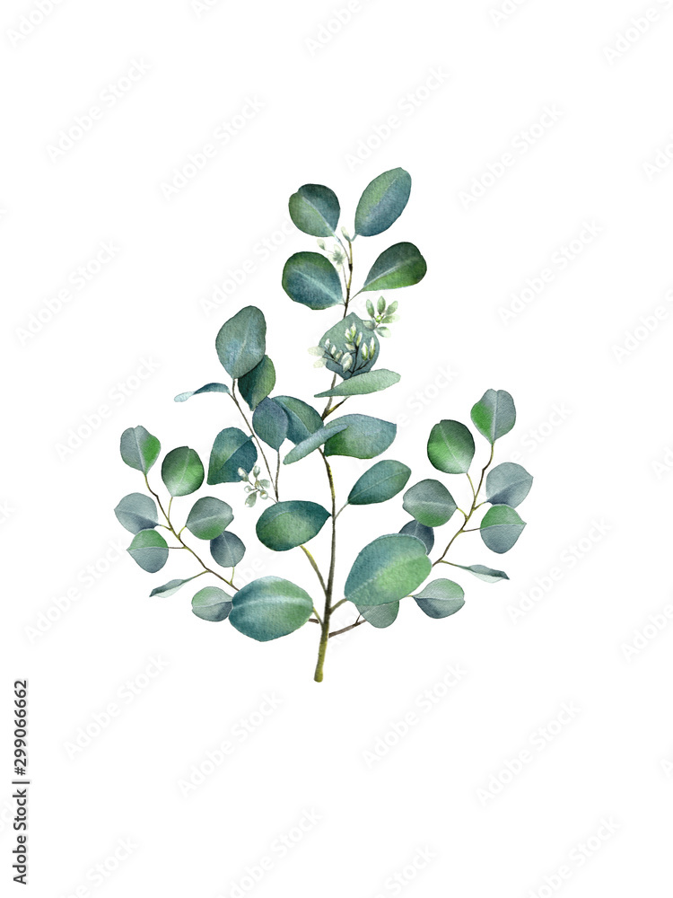 Watercolor floral illustration with eucalyptus green leaves and branch ...