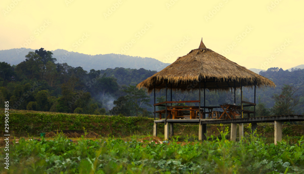 hut on the field