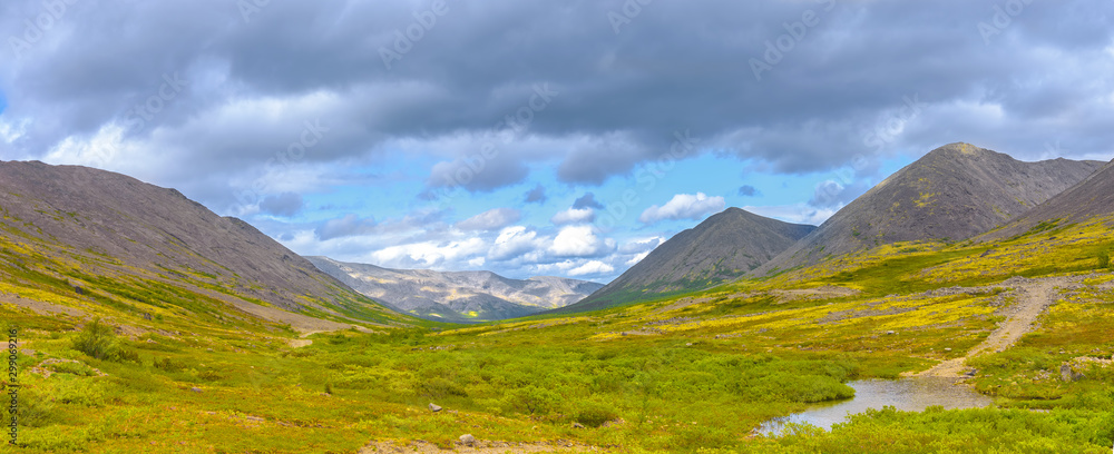 Mountain tundra with mosses and rocks covered with lichens, Hibiny mountains above the Arctic circle, Kola peninsula, Murmansk region, Russia