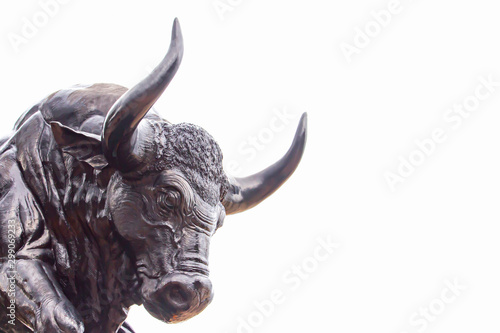 The bull statue is on white background with clipping path.