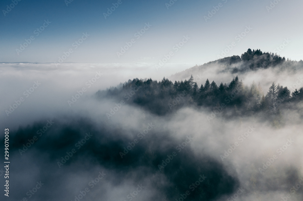 Der Teutoburger Wald im Nebel