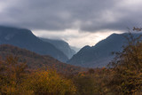 Colorful autumn mountain forest in cloudy weather