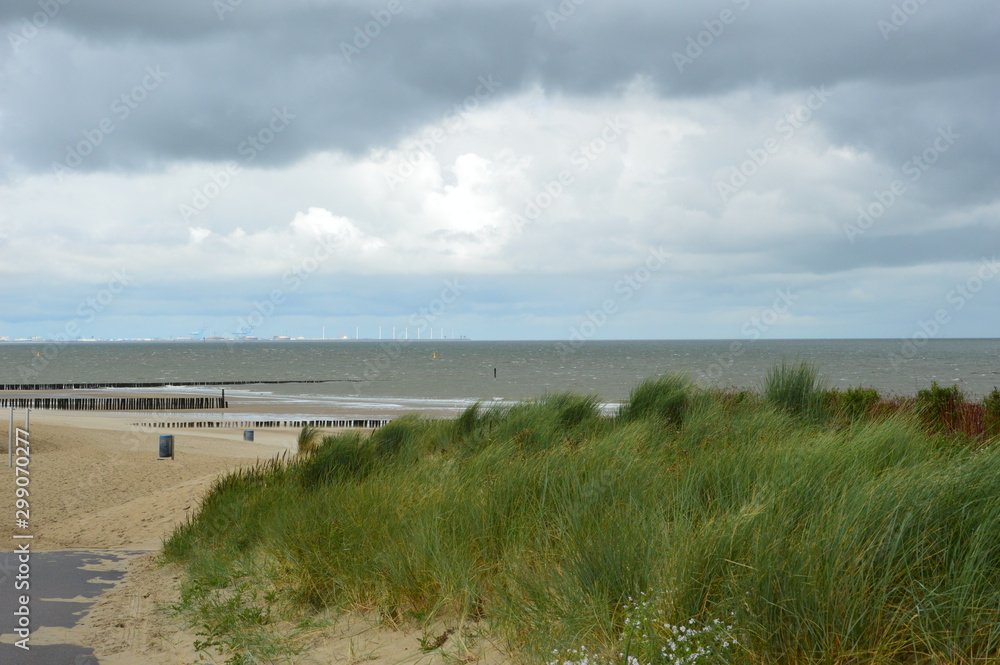 Cadzand (Holland). August 2017.  North Sea. Beach. Breakwaters.