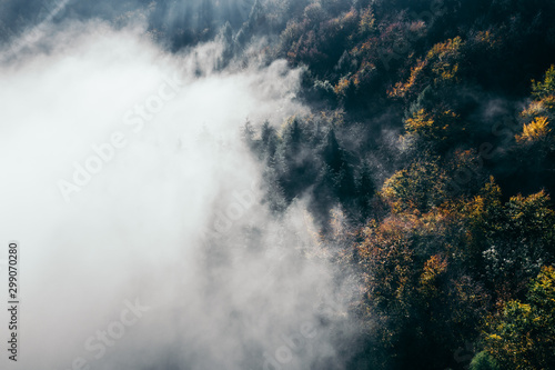 Der Teutoburger Wald im Nebel © romanb321