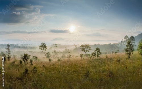 Mountain view of green meadow around with sea of fog with yellow sun light and cloudy sky background  sunrise at Thung Salang Luang  Khao Kho  Phetchabun  Thailand.
