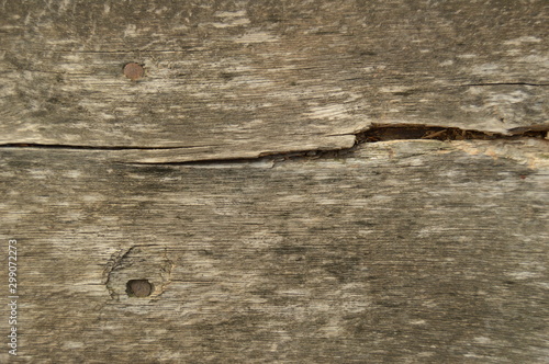 The texture of the old cut wood