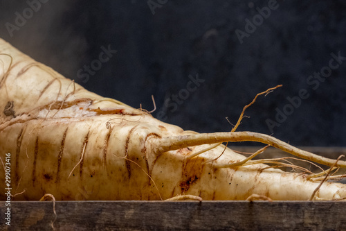 Close up photo of parsnip on wooden platter. Parnsips are a winter root vegetable native to Britain.
