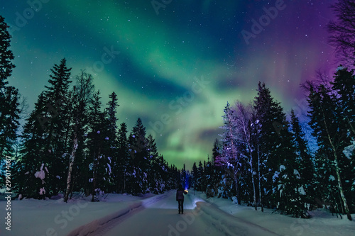 Colorful polar arctic Northern lights Aurora Borealis activity with one person in snow winter forest in Finland