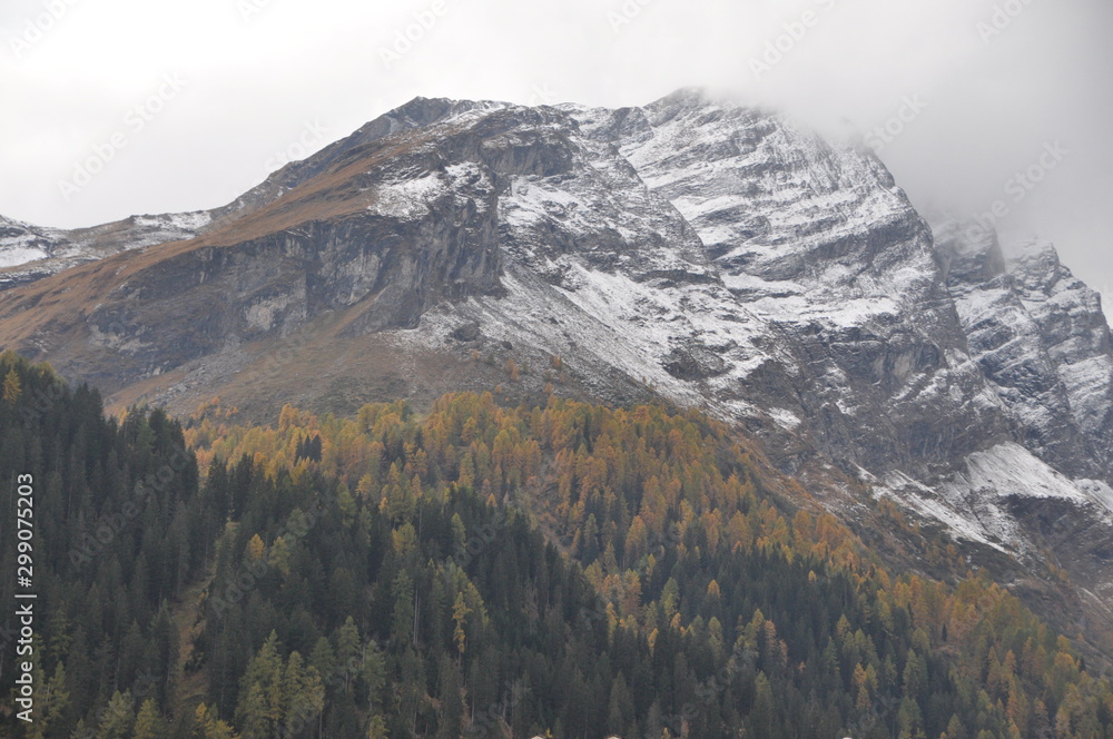 snow capped mountain with foliage trees, Splügen, Canton of Grisons, Switzerland