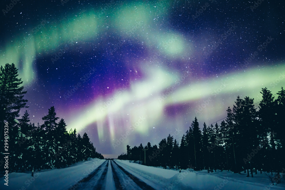 Colorful polar arctic Northern lights Aurora Borealis activity in snow winter forest in Finland