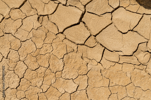 Clay sandy earth parched and cracked