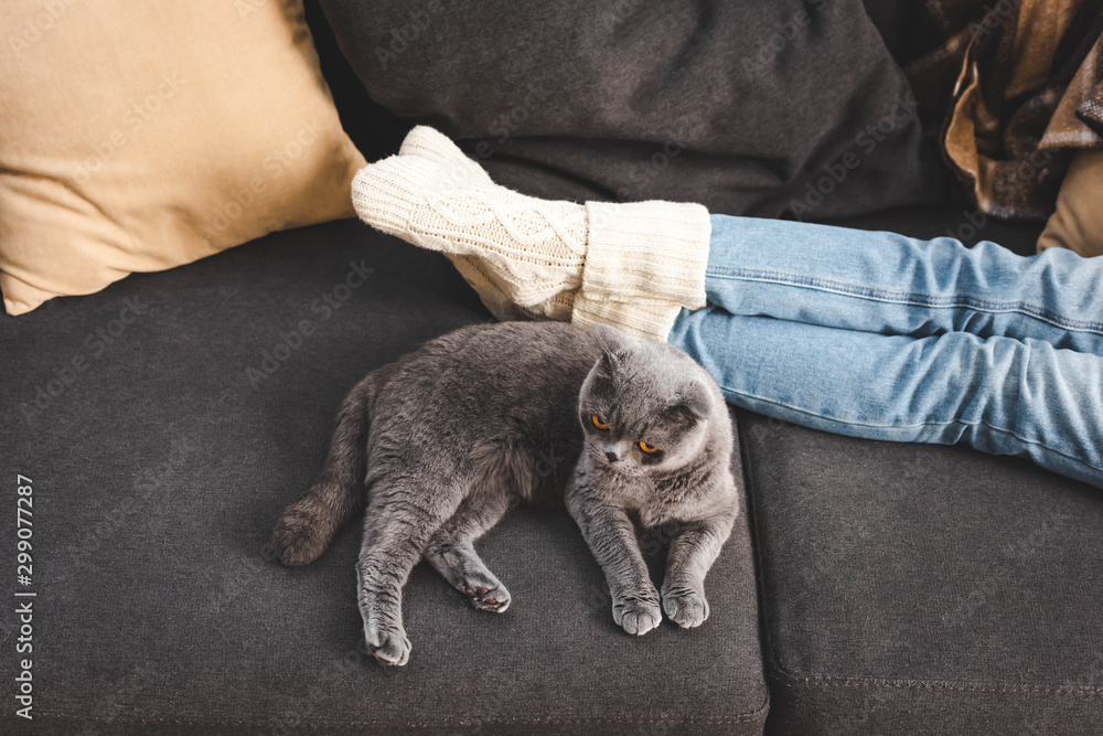 cropped view of girl lying with scottish fold cat on sofa