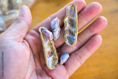 Hand holding boiled peanuts Thai healthy food peanut corn boil .