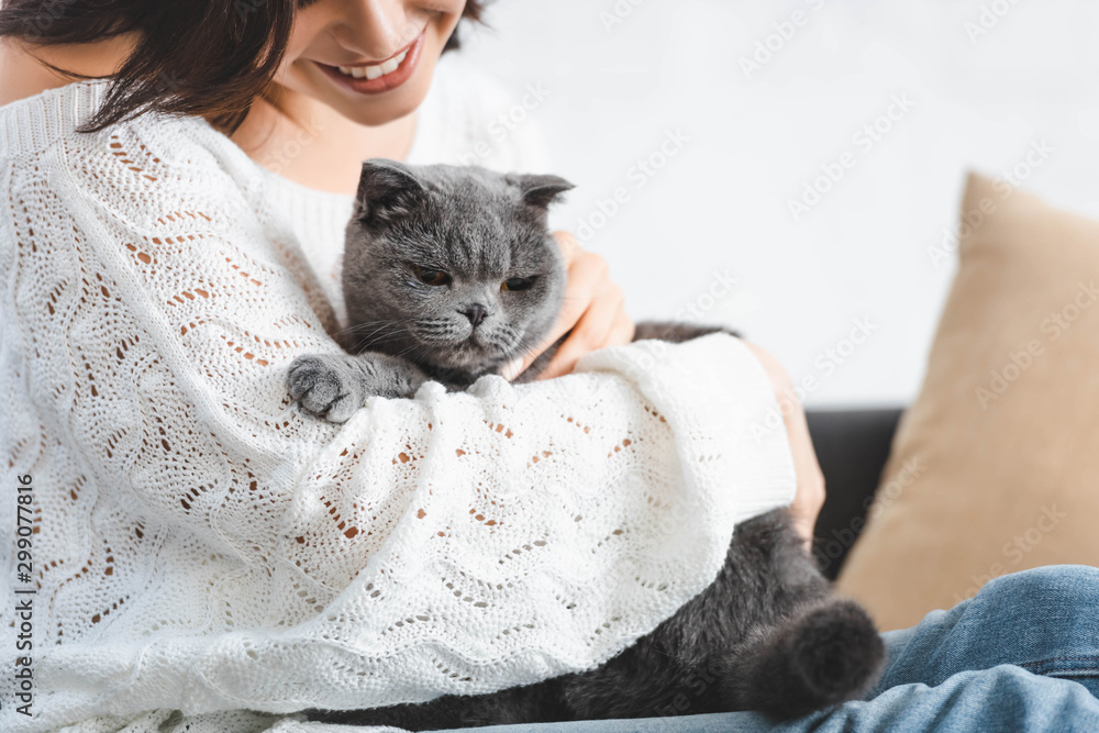 cropped view of happy beautiful woman sitting on sofa with scottish fold cat cropped view of happy beautiful woman sitting on sofa with scottish fold cat