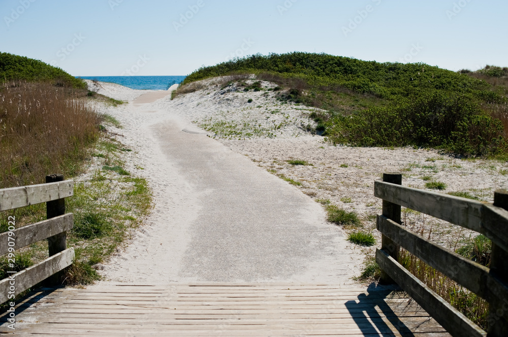 Fototapeta premium Camino hacia el mar en Dinamarca