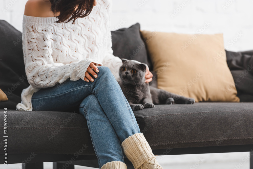 cropped view of beautiful woman in blanket sitting on sofa with cat cropped view of beautiful woman in blanket sitting on sofa with cat