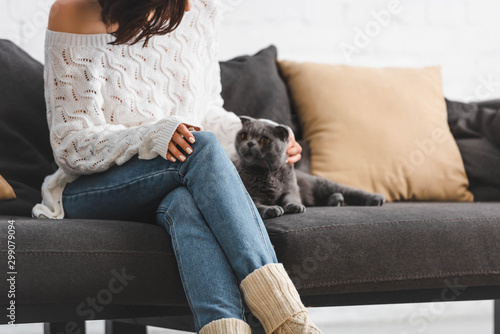 cropped view of beautiful woman in blanket sitting on sofa with cat