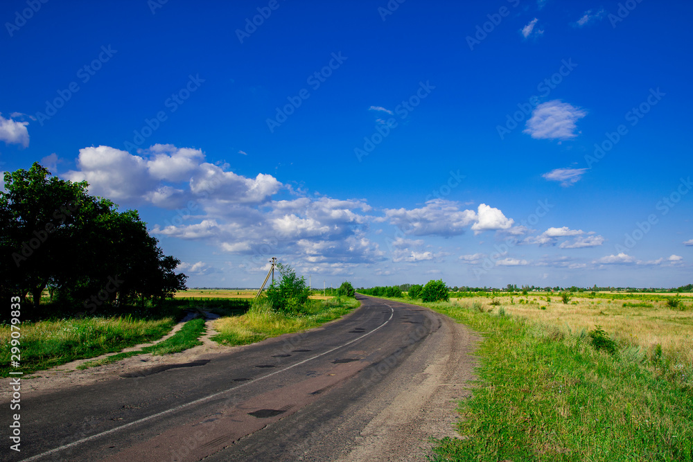 Country road in the summer field landscape