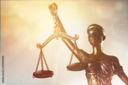 Canvas Print Law.