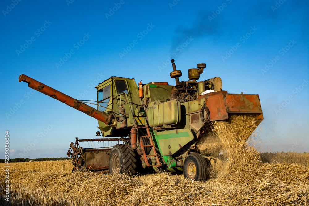 Fototapeta premium combine harvester on a wheat field